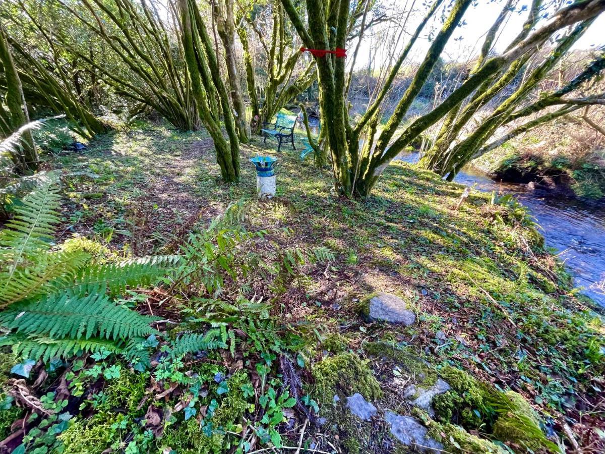 Stepping Stones Glamping 'The Olive' Villa Bantry Eksteriør bilde
