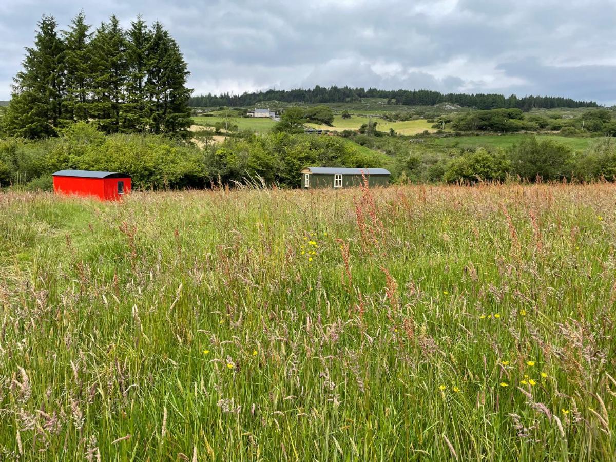Stepping Stones Glamping 'The Olive' Villa Bantry Eksteriør bilde