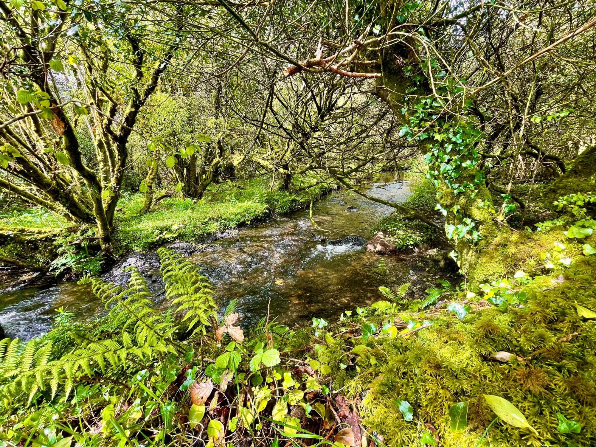 Stepping Stones Glamping 'The Olive' Villa Bantry Eksteriør bilde